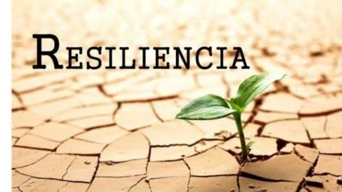 Imagen de la publicación: Resiliencia de la Cadena de Suministro